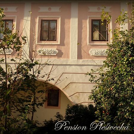 Pension Plesivecka 119 Český Krumlov Exteriör bild