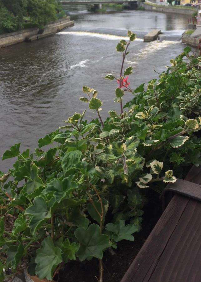 Pension Plesivecka 119 Český Krumlov Exteriör bild